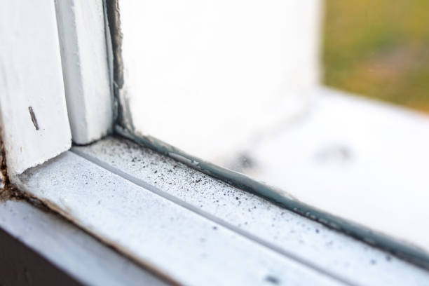 Best Real Estate Mold Inspection  in Silver Lake, NJ