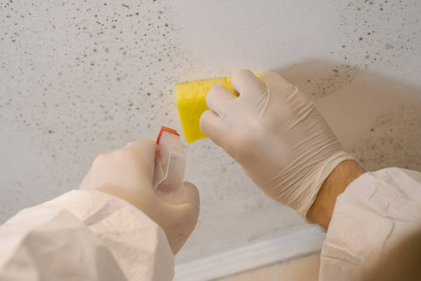 Best HVAC Mold Inspection and Cleaning  in Silver Lake, NJ
