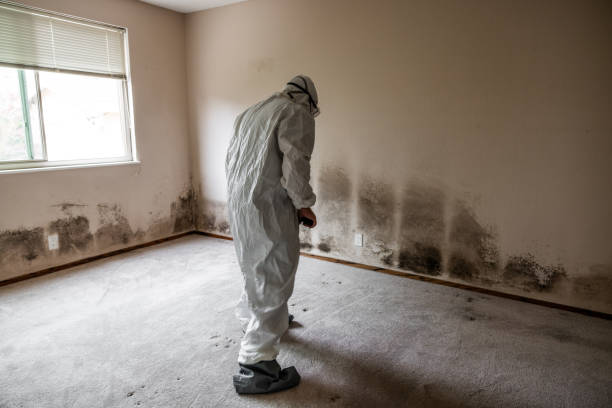 Best Residential Mold Inspection & Testing  in Silver Lake, NJ