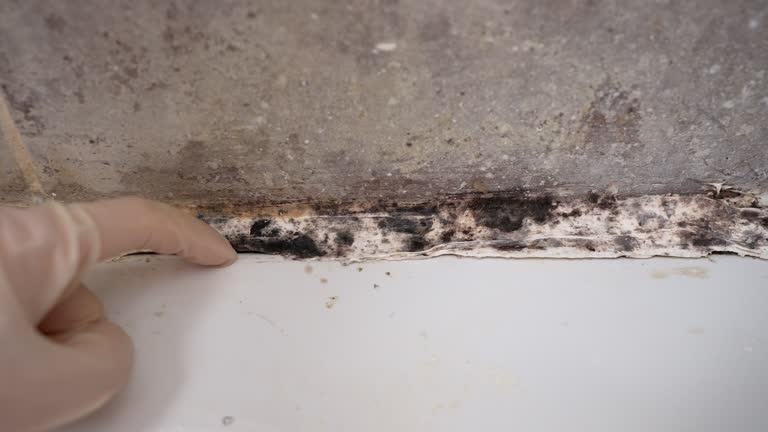 Best Indoor Air Quality Assessment  in Silver Lake, NJ